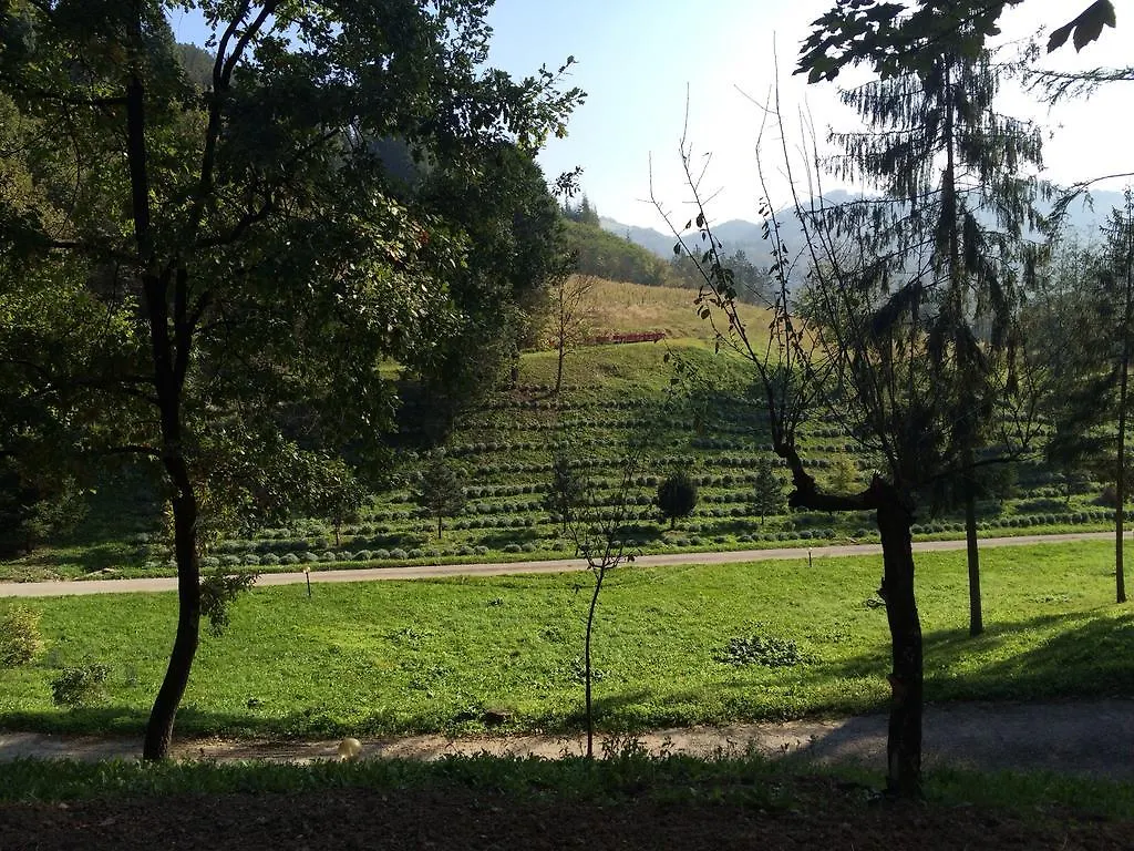 Bed & Breakfast Casa Di Otello Monte San Giovanni